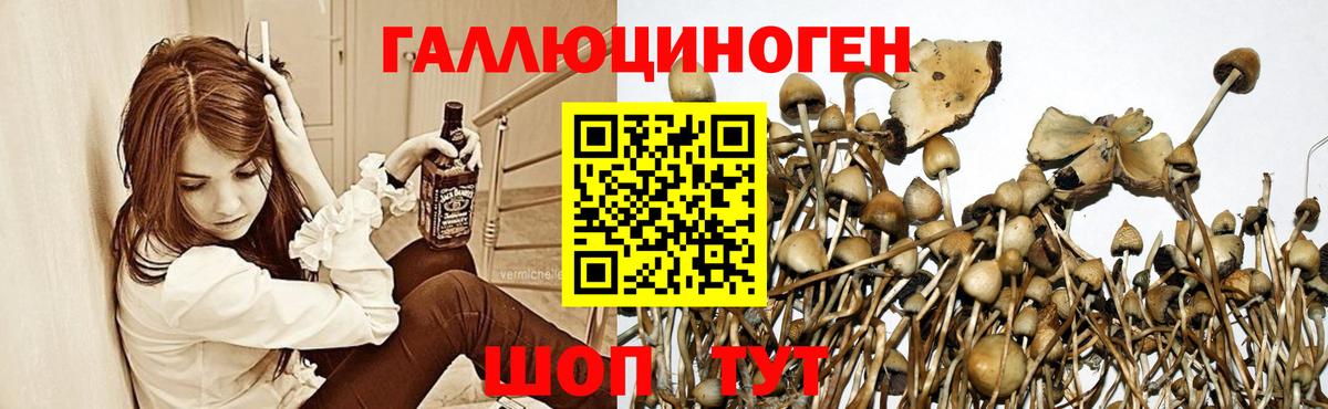 Галлюциногенные грибы прущие грибы  Вход с VPN  Краснотурьинск 